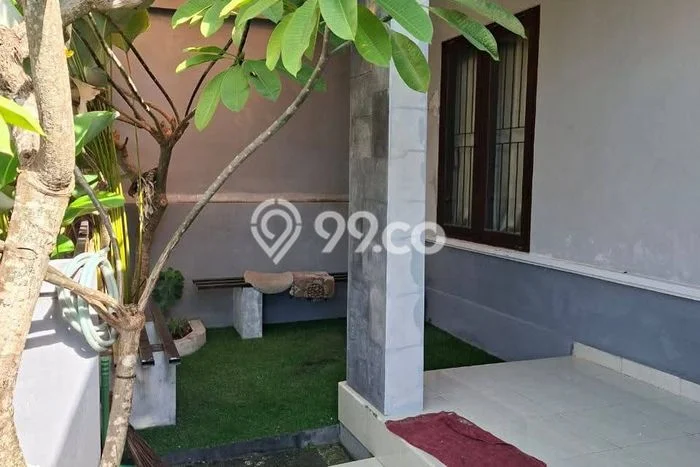 Disewakan Rumah Murah di Jimbaran Badung Punya 3 Kamar Tidur Disewakan Rumah Murah di Jimbaran Badung Punya 3 Kamar Tidur