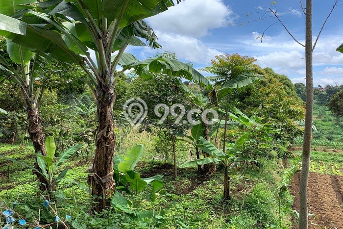 Kavling Tanah untuk Dijual di Bandung Barat, Bandung, Luas 10600m2 Kavling Tanah untuk Dijual di Bandung Barat, Bandung, Luas 10600m2