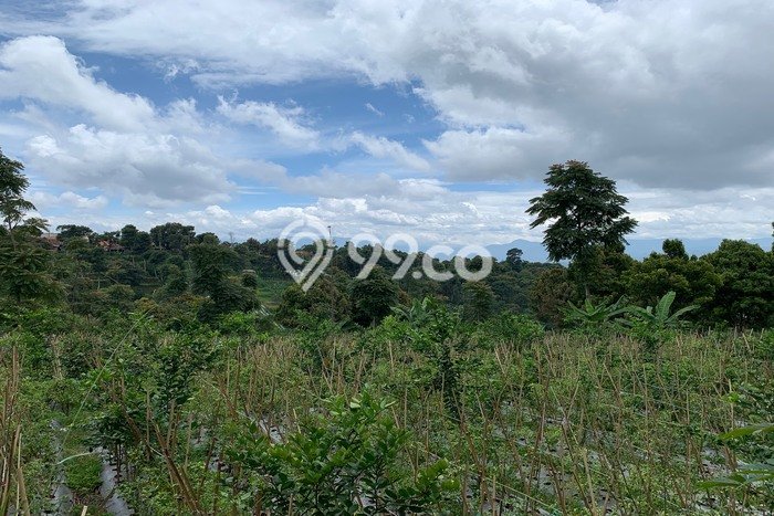 Kavling Tanah untuk Dijual di Bandung Barat, Bandung, Luas 10600m2 Kavling Tanah untuk Dijual di Bandung Barat, Bandung, Luas 10600m2