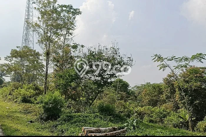Lahan Dijual Lokasi Panawangan, Ciamis dengan Luas Tanah 16000m2 dan Status - Lahan Dijual Lokasi Panawangan, Ciamis dengan Luas Tanah 16000m2 dan Status -