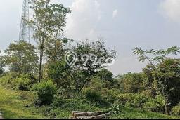 Lahan Dijual Lokasi Panawangan, Ciamis dengan Luas Tanah 16000m2 dan Status - Lahan Dijual Lokasi Panawangan, Ciamis dengan Luas Tanah 16000m2 dan Status -