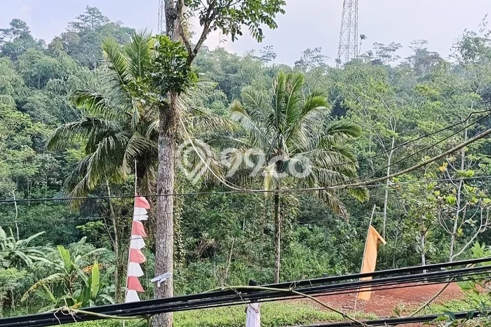 Lahan Dijual Lokasi Panawangan, Ciamis dengan Luas Tanah 16000m2 dan Status - Lahan Dijual Lokasi Panawangan, Ciamis dengan Luas Tanah 16000m2 dan Status -