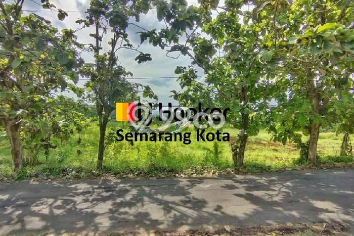 Tanah Dijual Lokasi Strategis di Semarang dengan Luas 13945m2 Tanah Dijual Lokasi Strategis di Semarang dengan Luas 13945m2