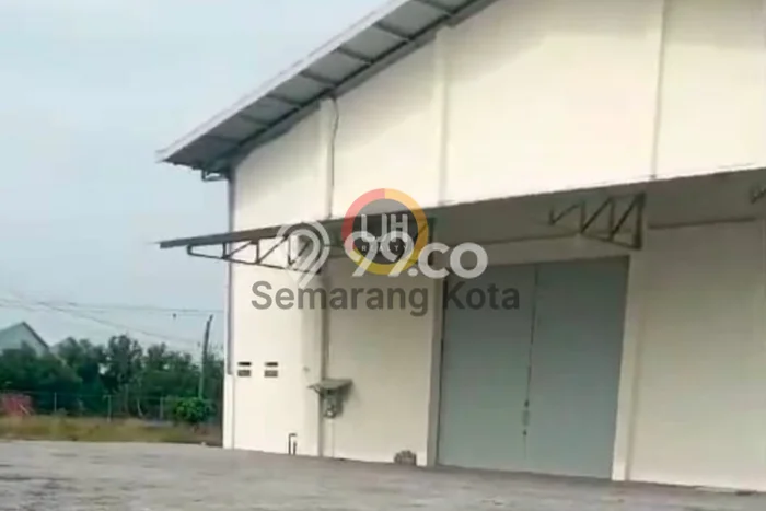 Gudang Komersial Disewakan di Sayung Demak Luas 1920m2 Gudang Komersial Disewakan di Sayung Demak Luas 1920m2