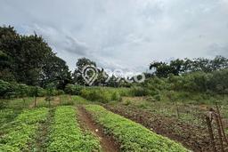 Kavling Tanah untuk Disewa di Cimuning Lahan Luas 10000m2 Kavling Tanah untuk Disewa di Cimuning Lahan Luas 10000m2