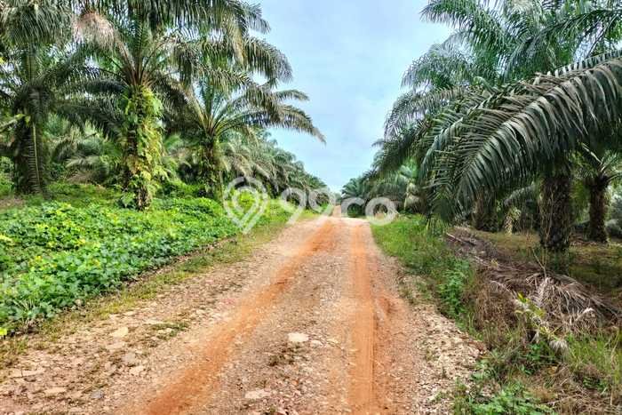 Untuk Dijual Tanah di Bogor Timur Bogor Luas 23000m2 SHM Untuk Dijual Tanah di Bogor Timur Bogor Luas 23000m2 SHM