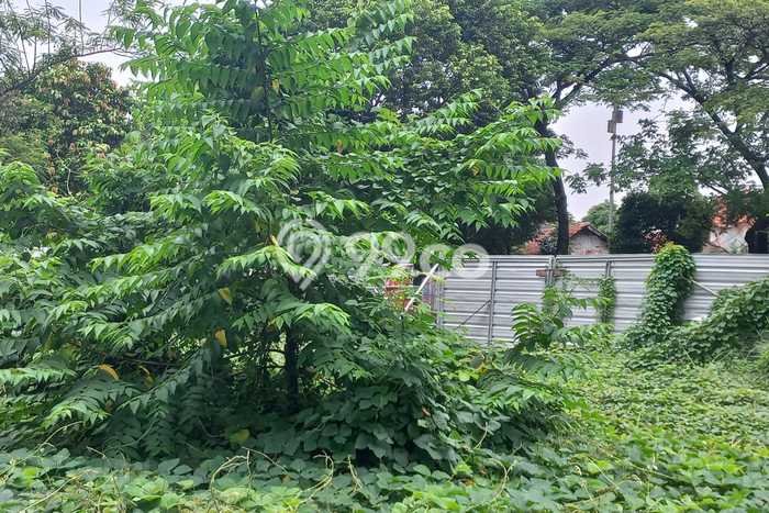Untuk Dijual Tanah 2062m2 di Jalan Panjang, Jakarta Barat Untuk Dijual Tanah 2062m2 di Jalan Panjang, Jakarta Barat