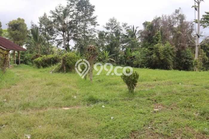 Dijual Tanah Area Potensial Kawasan Apuan, Luas 8700m², Area Asri Dijual Tanah Area Potensial Kawasan Apuan, Luas 8700m², Area Asri