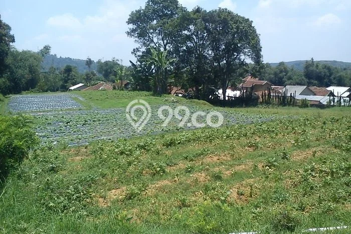 Kavling Tanah di Cianjur Dijual Luas 4450m2 Legalitas SHM Kavling Tanah di Cianjur Dijual Luas 4450m2 Legalitas SHM