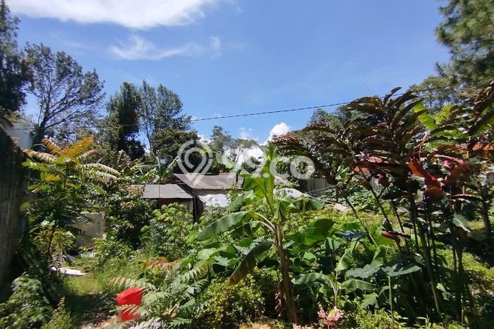 Tanah Dijual Lokasi Lembang, Bandung Barat Luas 1000m2 Legalitas Aman Tanah Dijual Lokasi Lembang, Bandung Barat Luas 1000m2 Legalitas Aman