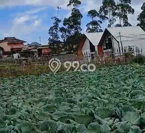 Tanah Komersial Dijual di Pangalengan Bandung 1845m2 Tanah Komersial Dijual di Pangalengan Bandung 1845m2