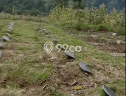 Tanah Dijual Lokasi Sukajadi Bandung SHM Tanah Dijual Lokasi Sukajadi Bandung SHM