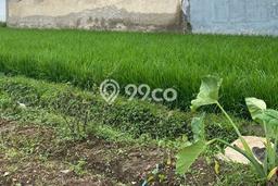 Tanah Komersial Dijual di Soreang Bandung 546m2 Tanah Komersial Dijual di Soreang Bandung 546m2
