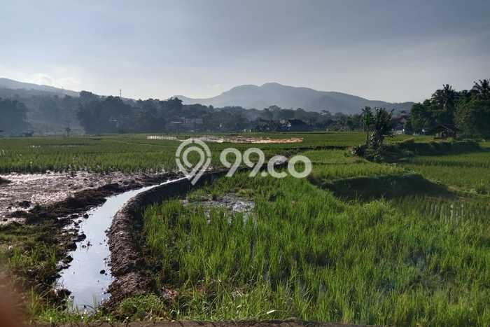 Lahan Dijual Lokasi Strategis di Sumedang dengan Luas 725m2 Lahan Dijual Lokasi Strategis di Sumedang dengan Luas 725m2