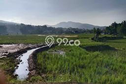 Lahan Dijual Lokasi Strategis di Sumedang dengan Luas 725m2 Lahan Dijual Lokasi Strategis di Sumedang dengan Luas 725m2