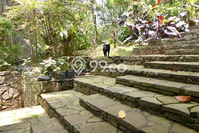 Tanah Kavling di Coblong Dijual dengan Luas 2000m2 Tanah Kavling di Coblong Dijual dengan Luas 2000m2