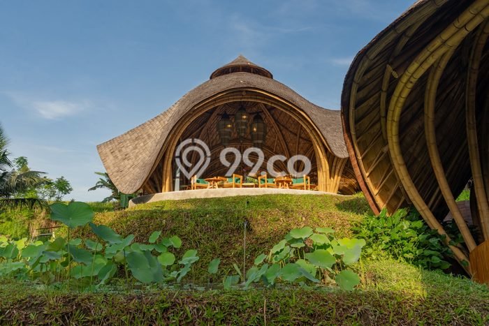 Tersedia Vila di Ubud, Ukuran 3600m2m², Dekat ke fasilitas Tersedia Vila di Ubud, Ukuran 3600m2m², Dekat ke fasilitas