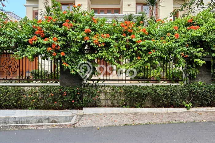 Rumah Kondisi Baik Disewakan di Pejaten, Jakarta Selatan LT 1000m2, LB 1000m2 Rumah Kondisi Baik Disewakan di Pejaten, Jakarta Selatan LT 1000m2, LB 1000m2