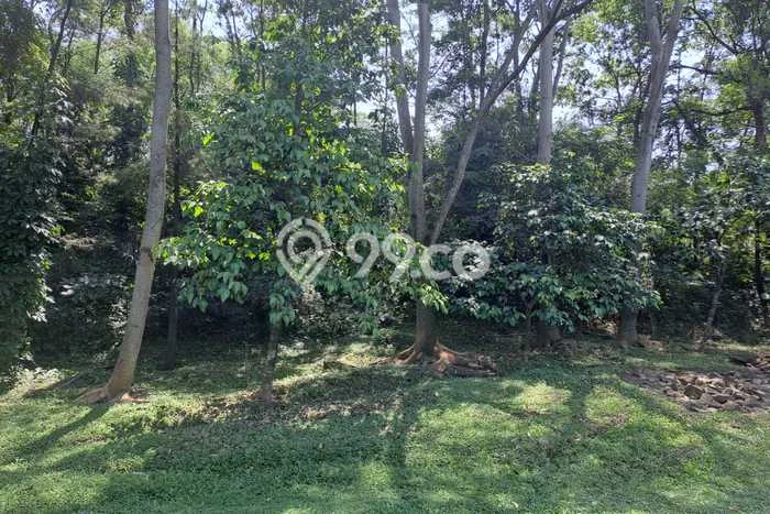 Lahan Dijual Lokasi Strategis di Bogor dengan Luas 2743m2 Lahan Dijual Lokasi Strategis di Bogor dengan Luas 2743m2