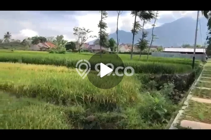Tanah di Kuningan, Kuningan Luas 5000m2 Dijual Segera Tanah di Kuningan, Kuningan Luas 5000m2 Dijual Segera
