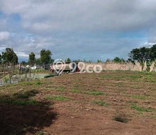 Lahan untuk Dijual Lokasi Cisarua, Bandung Barat Luas 4200m2 AJB Lahan untuk Dijual Lokasi Cisarua, Bandung Barat Luas 4200m2 AJB