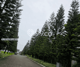 Tanah Dijual di Bandung Seluas 639m2 Strategis Tanah Dijual di Bandung Seluas 639m2 Strategis