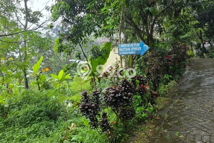 Tanah Strategis Dijual di Prigen Pasuruan 1182m2 Tanah Strategis Dijual di Prigen Pasuruan 1182m2