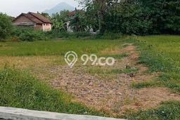 Tanah Kavling untuk Dijual di Tulangan Sidoarjo 405m2 Tanah Kavling untuk Dijual di Tulangan Sidoarjo 405m2