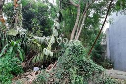 Tanah Dijual Lokasi Strategis di Jakarta Barat dengan Luas 300m2 Tanah Dijual Lokasi Strategis di Jakarta Barat dengan Luas 300m2
