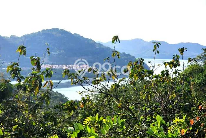 Tanah Kavling Dijual di Labuan Bajo, Manggarai Barat dengan Luas Tanah 12000m2 Tanah Kavling Dijual di Labuan Bajo, Manggarai Barat dengan Luas Tanah 12000m2