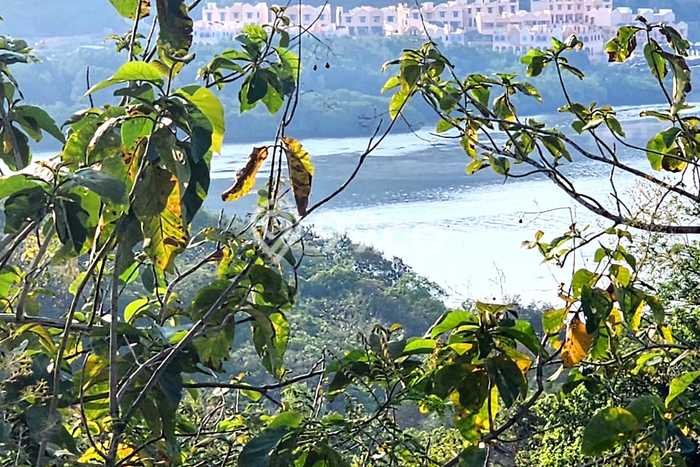 Tanah Kavling Dijual di Labuan Bajo, Manggarai Barat dengan Luas Tanah 12000m2 Tanah Kavling Dijual di Labuan Bajo, Manggarai Barat dengan Luas Tanah 12000m2