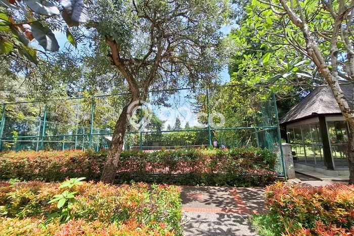 Dijual Rumah Luas Megah Dengan View Eksklusif di Mutiara Kedoya, Jakarta Barat Dijual Rumah Luas Megah Dengan View Eksklusif di Mutiara Kedoya, Jakarta Barat