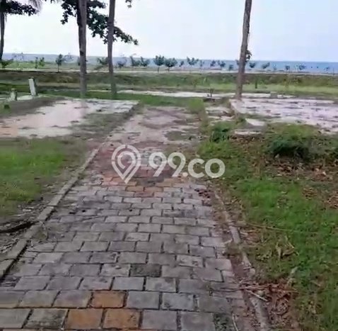 Tanah Dijual di Pandeglang Seluas 3613m2 Strategis Tanah Dijual di Pandeglang Seluas 3613m2 Strategis