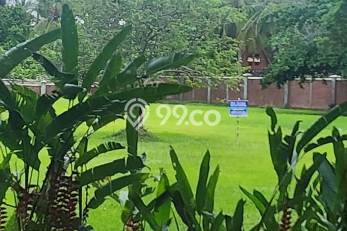 Tanah Dijual di Pandeglang Seluas 3613m2 Strategis Tanah Dijual di Pandeglang Seluas 3613m2 Strategis