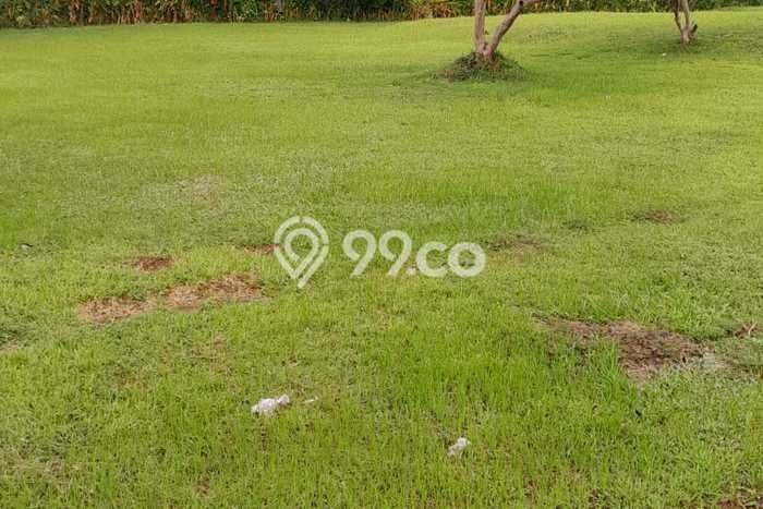 Tanah Dijual di Pandeglang Seluas 3613m2 Strategis Tanah Dijual di Pandeglang Seluas 3613m2 Strategis