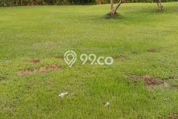 Tanah Dijual di Pandeglang Seluas 3613m2 Strategis Tanah Dijual di Pandeglang Seluas 3613m2 Strategis