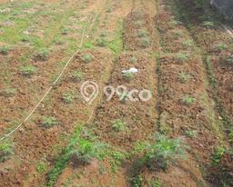 Tanah Dijual Lokasi Parung Panjang, Bogor dengan Luas Tanah 2440m2 dan Status SHM Tanah Dijual Lokasi Parung Panjang, Bogor dengan Luas Tanah 2440m2 dan Status SHM