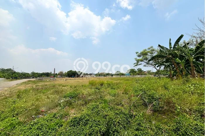 Kavling Tanah Dijual di Kebon Jeruk, Jakarta Barat, Luas 5000m2 Area Strategis Kavling Tanah Dijual di Kebon Jeruk, Jakarta Barat, Luas 5000m2 Area Strategis