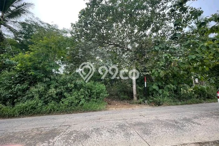 Lahan Dijual Lokasi Pardasuka, Pringsewu dengan Luas Tanah 90000m2 dan Status SHM Lahan Dijual Lokasi Pardasuka, Pringsewu dengan Luas Tanah 90000m2 dan Status SHM