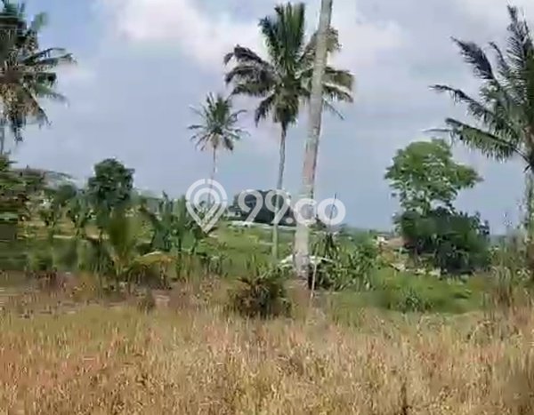 Kavling Tanah untuk Dijual di Puncak, Bogor, Luas 12680m2 Kavling Tanah untuk Dijual di Puncak, Bogor, Luas 12680m2