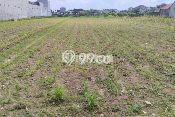 Dijual Tanah di Colomadu Karanganyar Luas 1700m2 SHM Dijual Tanah di Colomadu Karanganyar Luas 1700m2 SHM