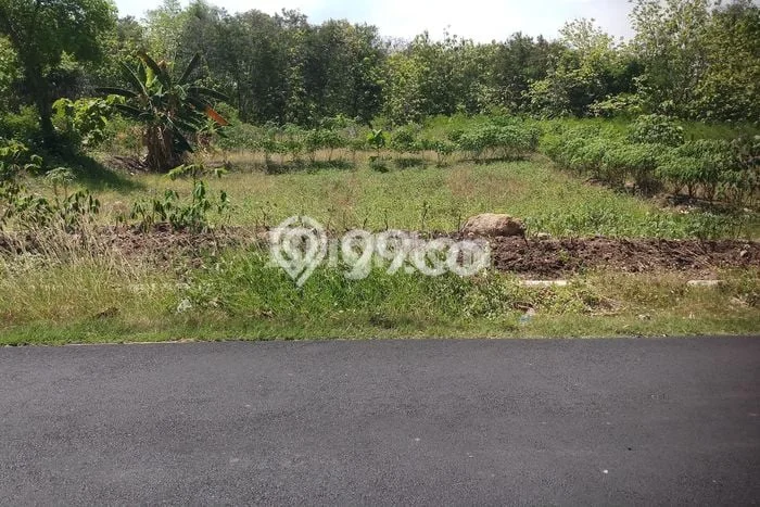 Jarang Ada! Tanah di Sambi Punya Luas 6800m2 SHM Jarang Ada! Tanah di Sambi Punya Luas 6800m2 SHM