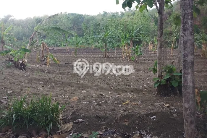 Tanah Kavling di Andong Dijual dengan Luas 10000m2 Tanah Kavling di Andong Dijual dengan Luas 10000m2