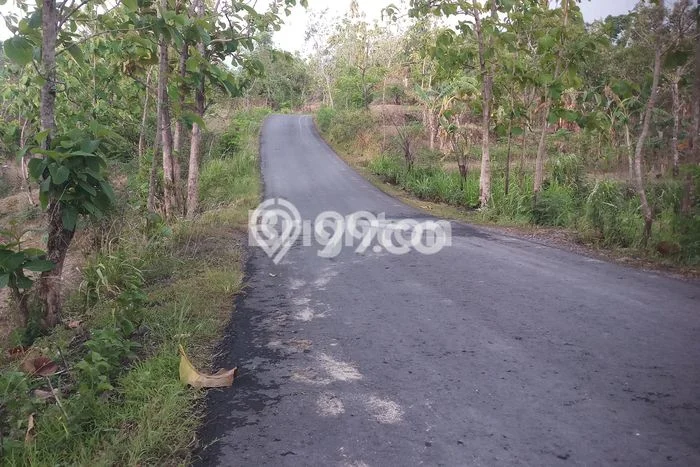Tanah Kavling di Andong Dijual dengan Luas 10000m2 Tanah Kavling di Andong Dijual dengan Luas 10000m2