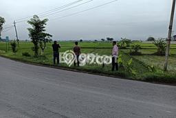 Lahan Kosong Dijual di Tangen, Sragen, Luas 10750m2 Area Strategis Lahan Kosong Dijual di Tangen, Sragen, Luas 10750m2 Area Strategis