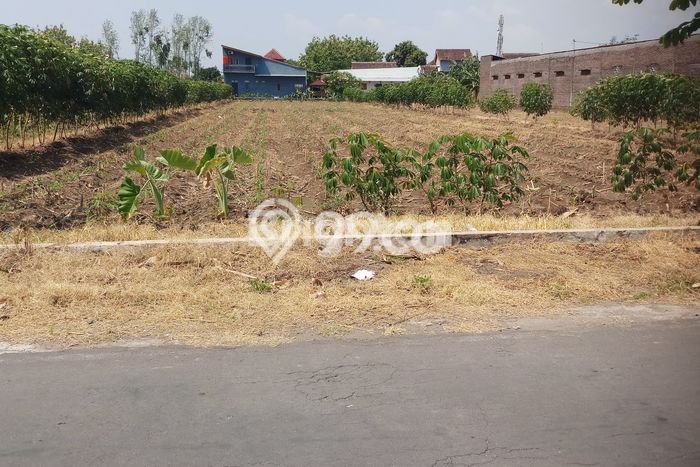 Tanah di Colomadu, Karanganyar Luas 1746m2 Dijual Segera Tanah di Colomadu, Karanganyar Luas 1746m2 Dijual Segera