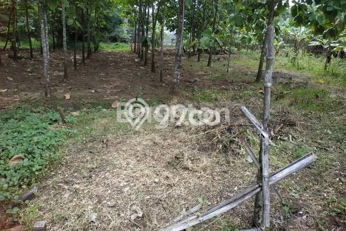 Tanah Komersial Dijual di Bendosari Sukoharjo 372m2 Tanah Komersial Dijual di Bendosari Sukoharjo 372m2