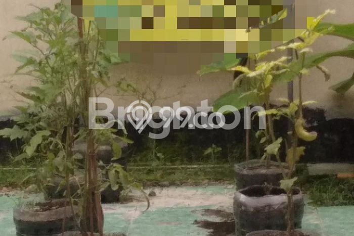 Jarang Ada! Tanah di Colomadu Punya Luas 118m2 SHM Jarang Ada! Tanah di Colomadu Punya Luas 118m2 SHM