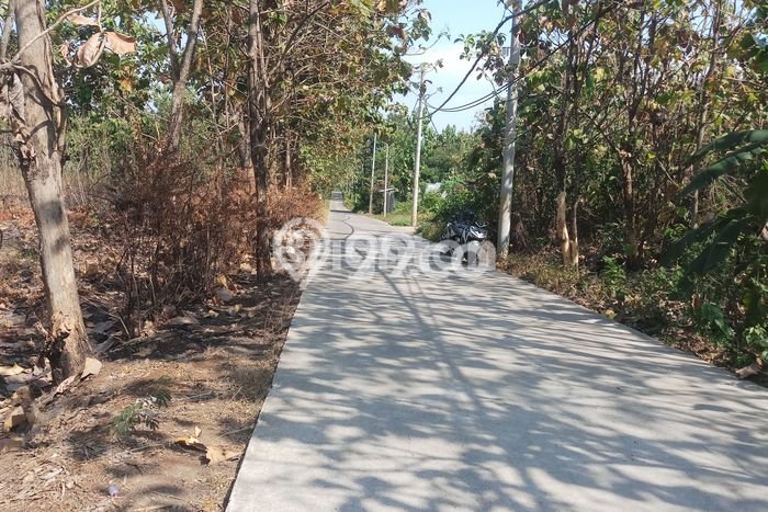 Tanah di Kalijambe, Sragen Luas 10000m2 Dijual Segera Tanah di Kalijambe, Sragen Luas 10000m2 Dijual Segera