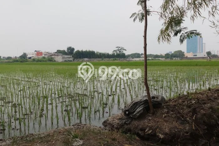 Jarang Ada! Tanah di Baki Punya Luas 6000m2 SHM Jarang Ada! Tanah di Baki Punya Luas 6000m2 SHM